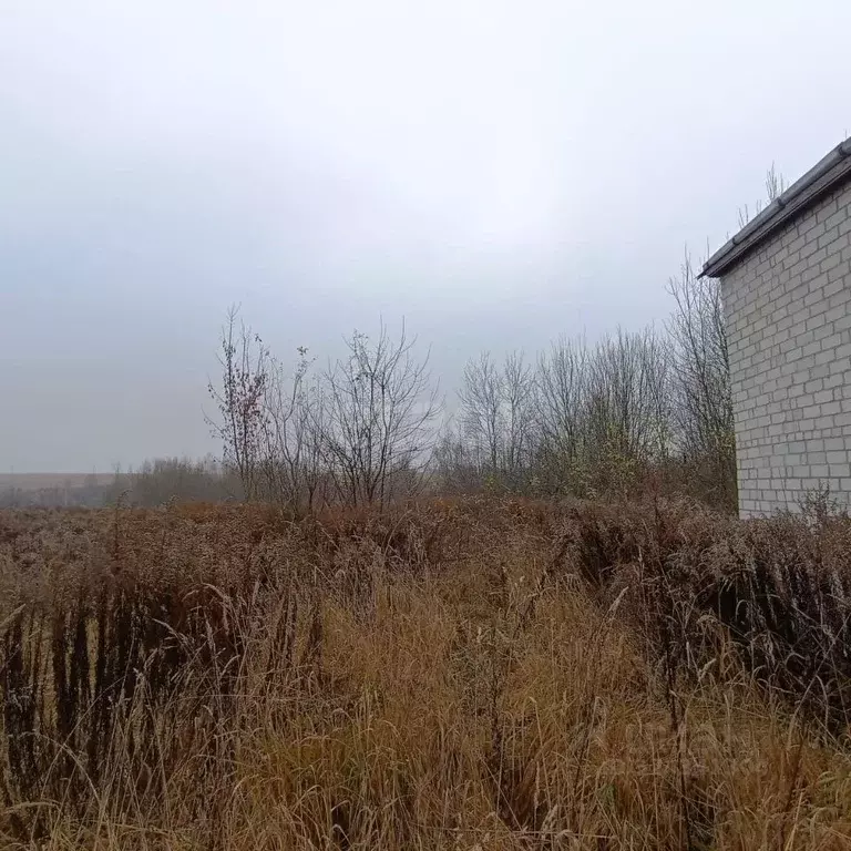 Участок в Брянская область, Брянский район, Добрунское с/пос, д. ... - Фото 1