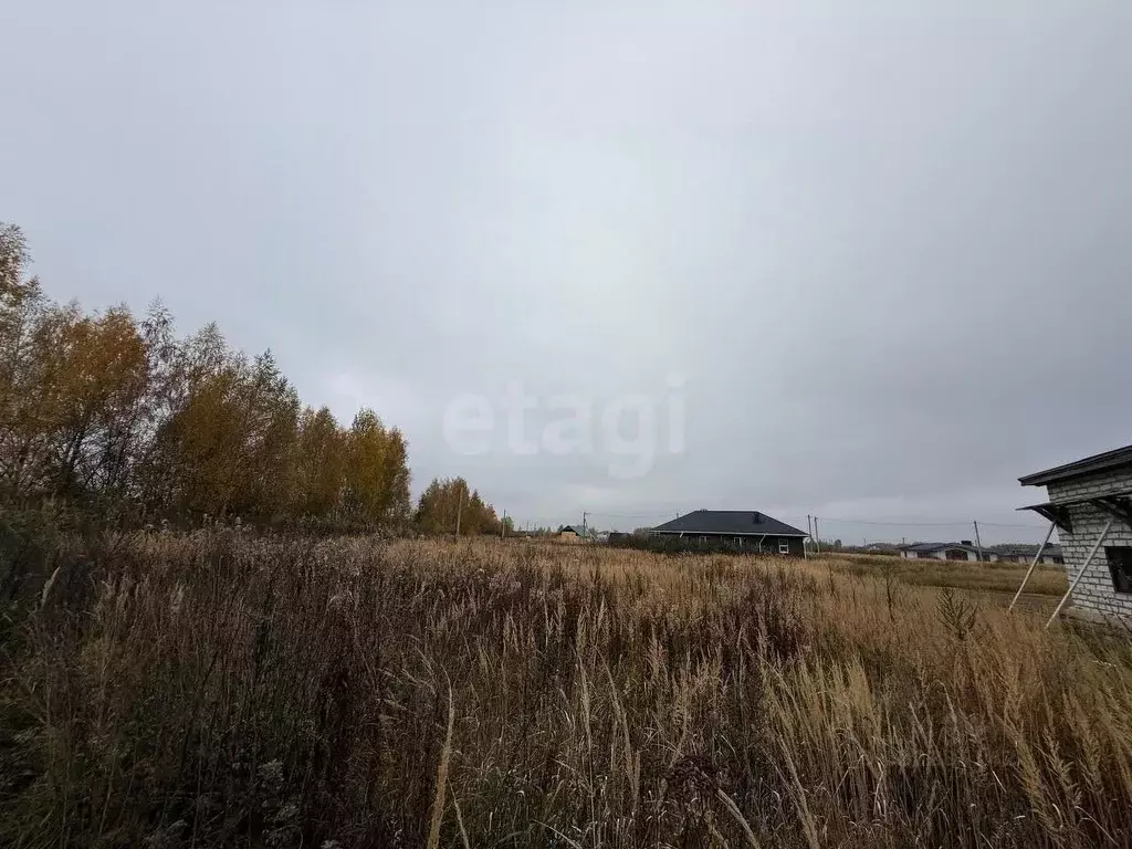 Участок в Костромская область, Кострома Соколиное Гнездо кп, 1 (10.4 ... - Фото 1