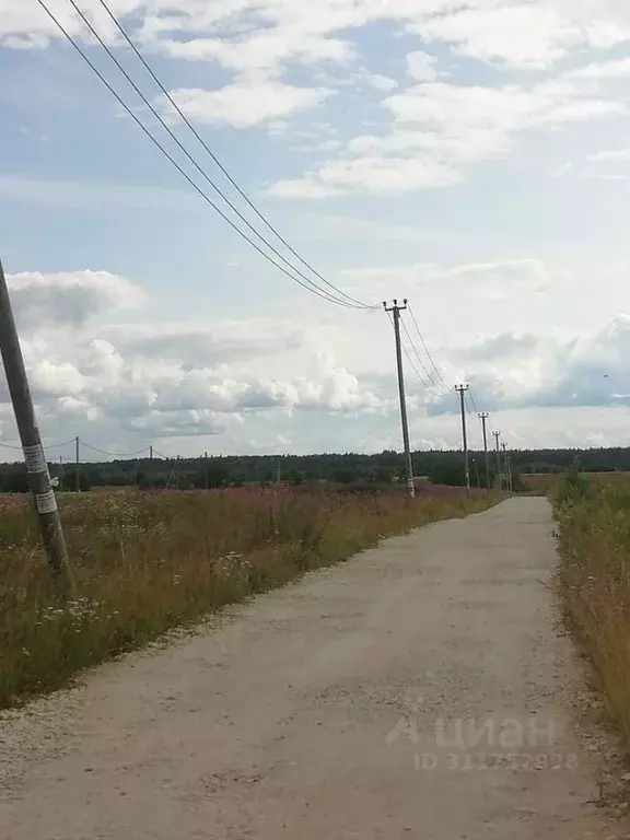 Участок в Ленинградская область, Ломоносовский район, Лопухинское ... - Фото 1