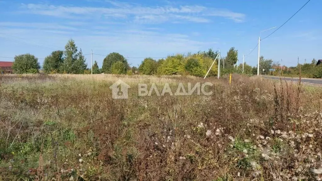 Участок в Владимирская область, Суздальский район, Селецкое ... - Фото 0