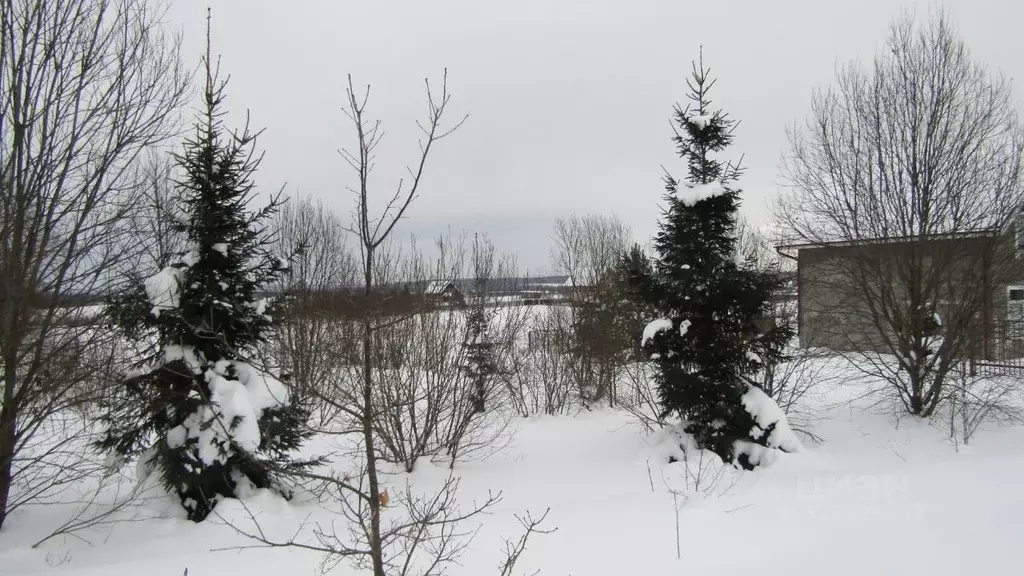 Участок в Московская область, Рузский муниципальный округ, д. Верхнее ... - Фото 1