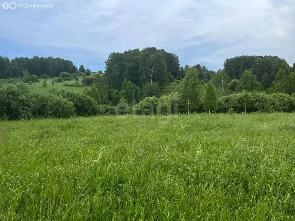 Участок в Майминский район, село Кызыл-Озек (12.35 м) - Фото 1