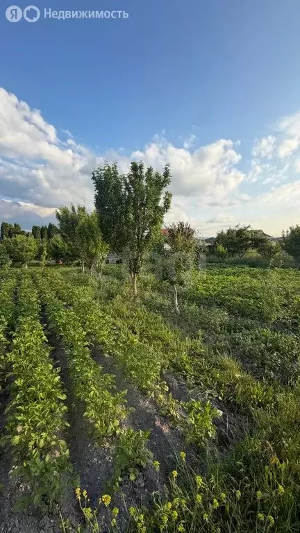Участок в Белогорск, улица Муарема Мартынова (7.89 м) - Фото 1