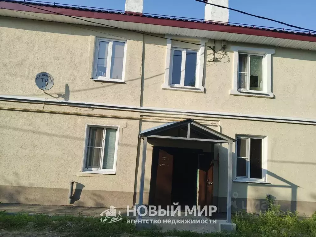 1-к кв. Нижегородская область, Бор ул. Суворова, 45 (33.3 м) - Фото 1