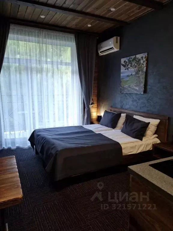 Студия Челябинская область, Миасский городской округ, с. Сыростан ул. ... - Фото 1