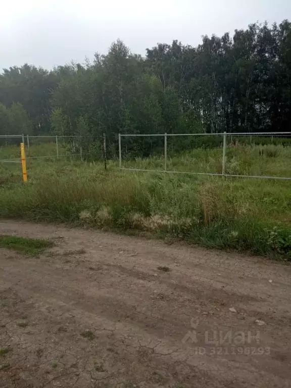 Участок в Омская область, Омский район муниципальный округ, пос. ... - Фото 1