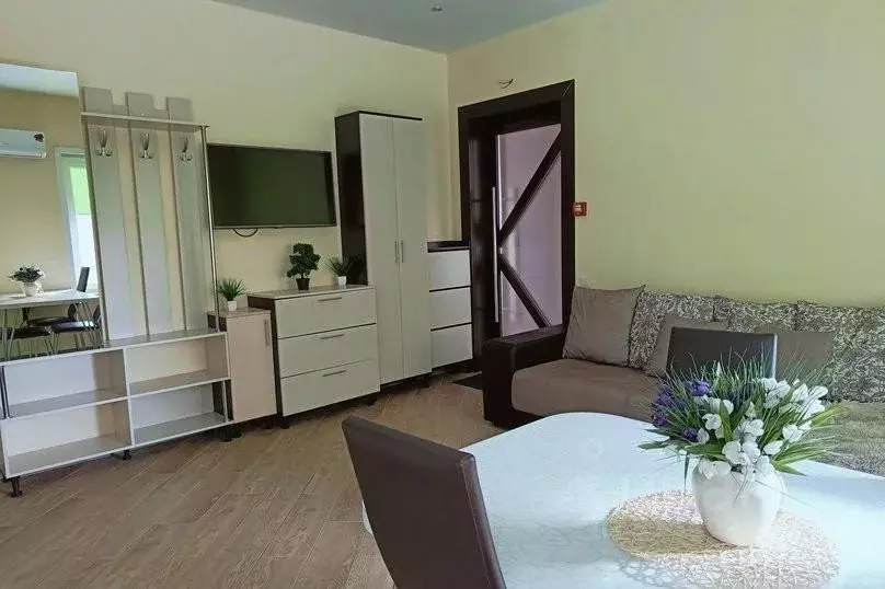 1-к кв. Краснодарский край, Ейск Красная ул., 67/1 (35.0 м) - Фото 1