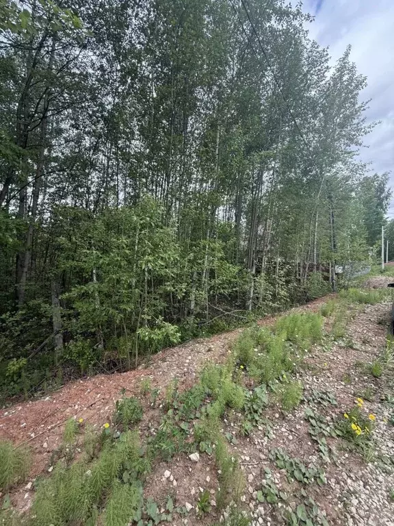 Участок в Кировская область, Киров городской округ, д. Богородская ул. ... - Фото 1