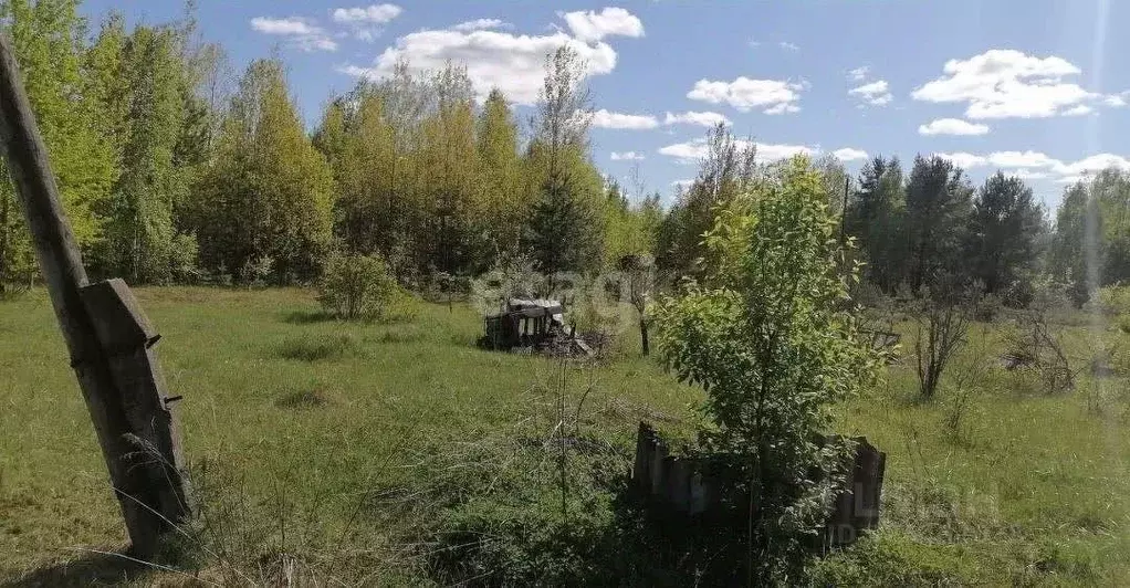 Участок в Владимирская область, Ковровский муниципальный округ, ... - Фото 0