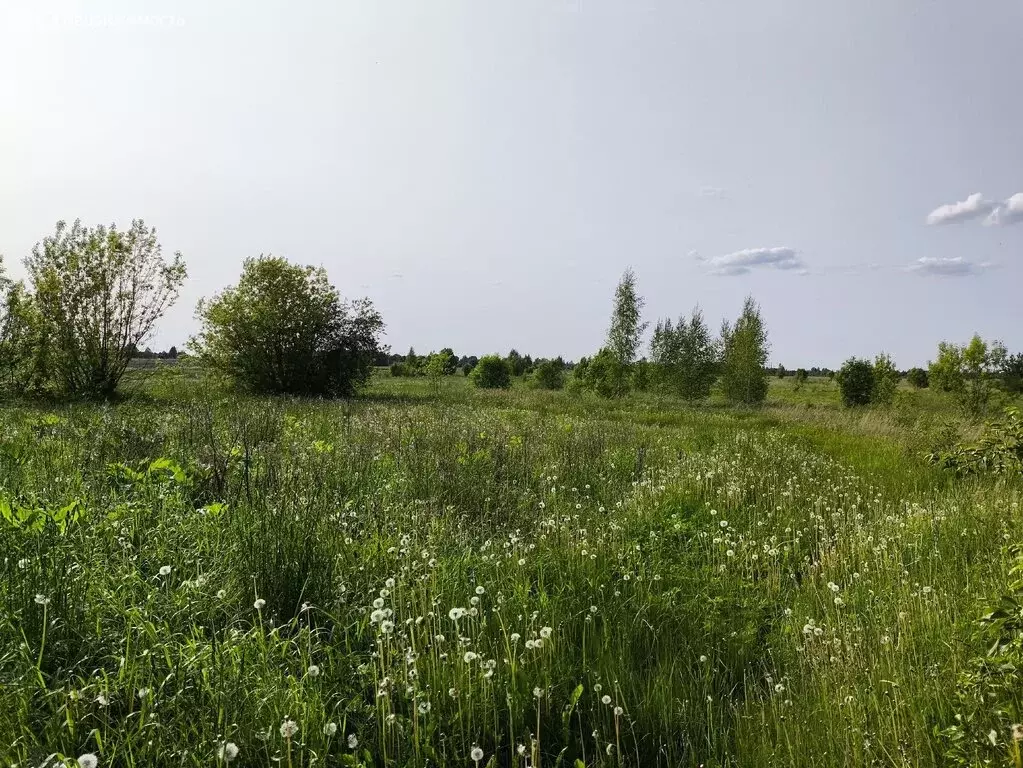 Дом в Псковская область, Печорский муниципальный округ, деревня ... - Фото 0