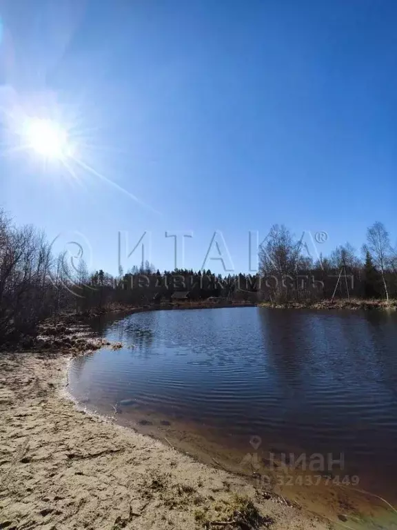 Участок в Ленинградская область, Приозерское городское поселение, пос. ... - Фото 1