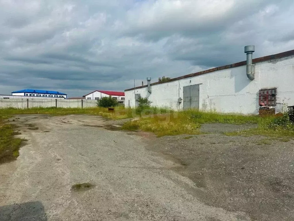 Склад в Тюменская область, Тюмень ул. Шишкова, 100с11 (688 м) - Фото 2