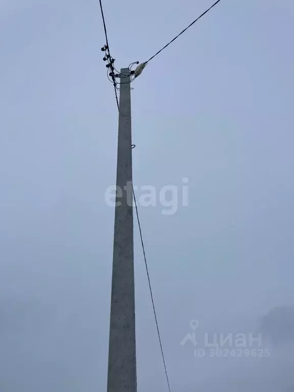 Участок в Владимирская область, Муромский район, с. Ковардицы ул. ... - Фото 1