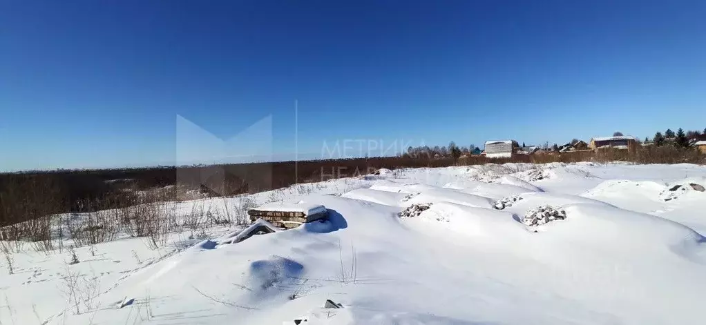 Участок в Тюменская область, Тюмень Ягодное СНТ, ул. Ягодная, 263 ... - Фото 1