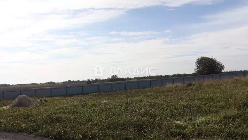 Участок в Ленинградская область, Ломоносовский район, Аннинское ... - Фото 1