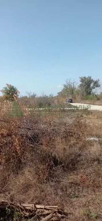 Участок в Саратовская область, Энгельс муниципальное образование, ... - Фото 1