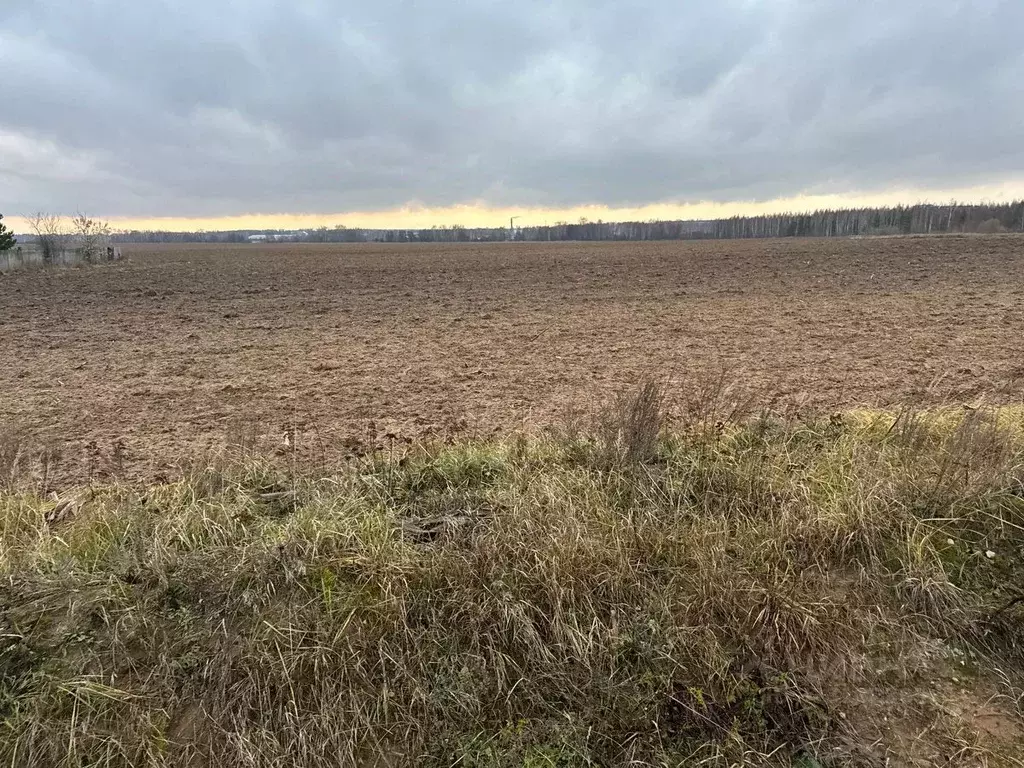 Участок в Московская область, Богородский городской округ, д. ... - Фото 1