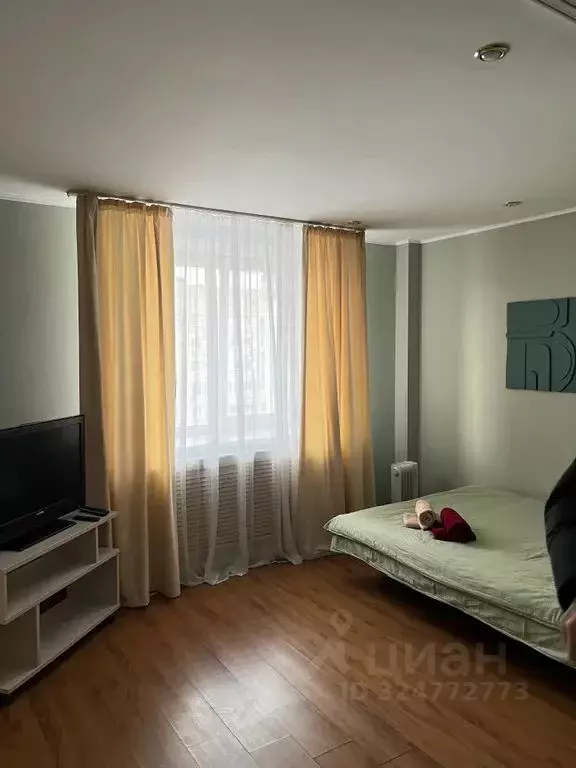 1-к кв. Пермский край, Пермь Екатерининская ул., 120 (36.0 м) - Фото 2