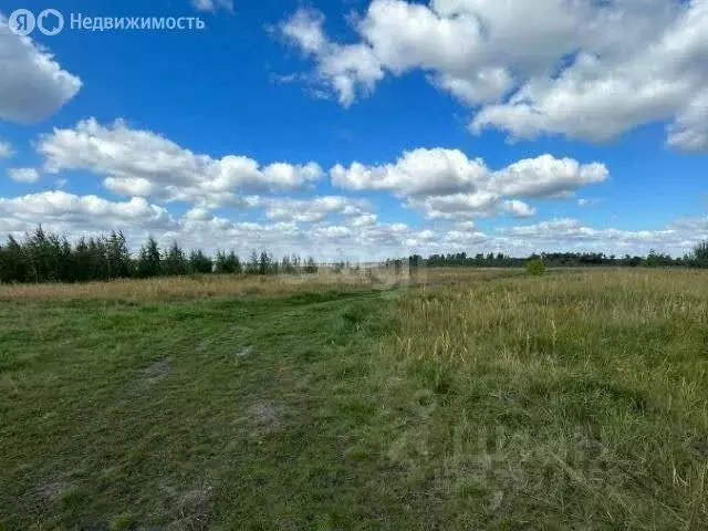 Участок в Тукаевский район, Биюрганское сельское поселение, деревня ... - Фото 1