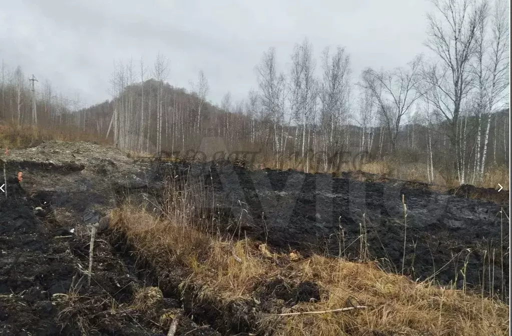 Участок в Алтай, Горно-Алтайск ул. М.С. Евдокимова (10.0 сот.) - Фото 1