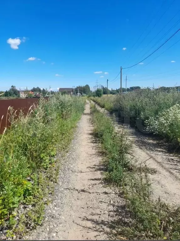 Участок в Вологодская область, д. Родионцево ул. Подковная (9.19 сот.) - Фото 2