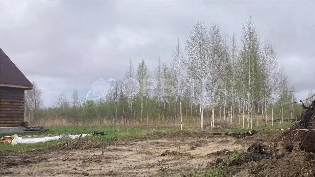Участок в Тюменская область, Тюмень Поле Чудес-2 садовое товарищество, ... - Фото 1
