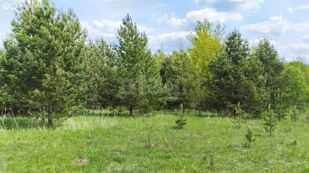 Участок в Нижегородская область, Сосновский муниципальный округ, ... - Фото 1