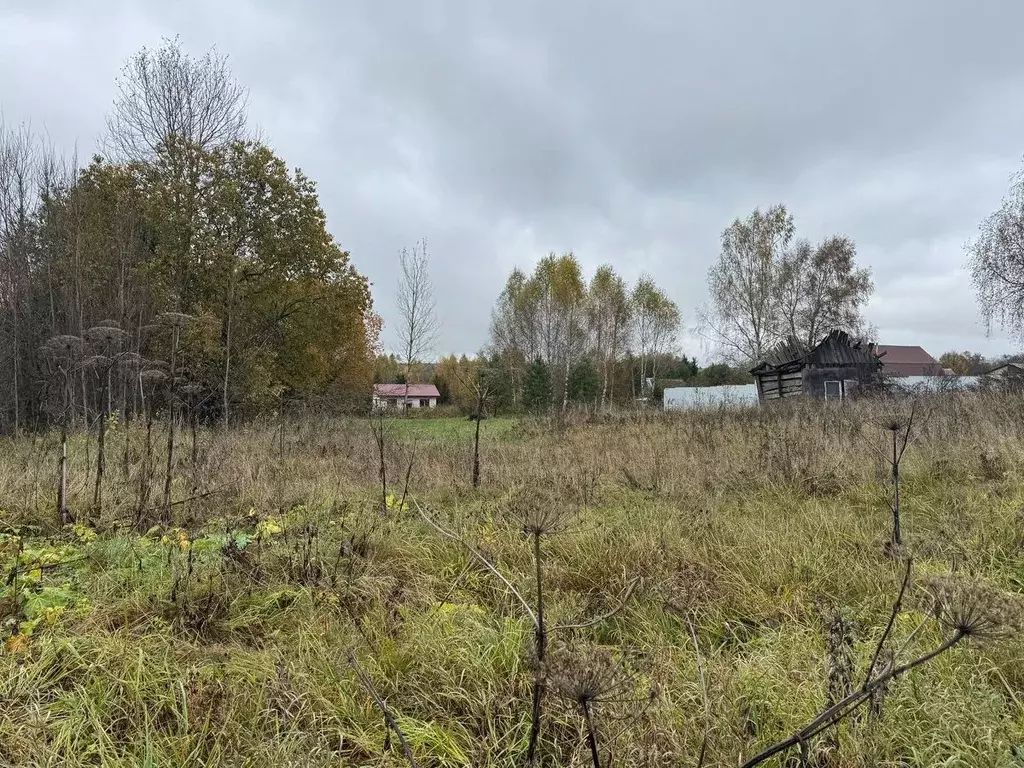 Участок в Московская область, Рузский муниципальный округ, д. ... - Фото 1