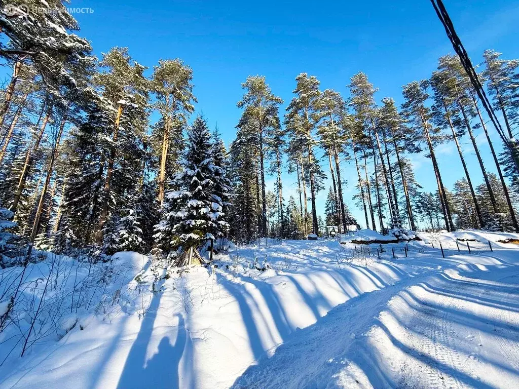Участок в Выборгский район, Приморское городское поселение, коттеджный ... - Фото 0