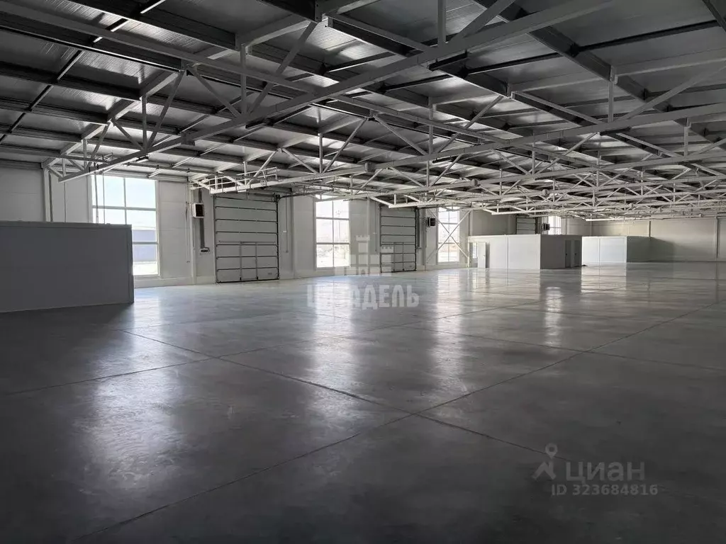 Производственное помещение в Воронежская область, Новоусманский район, ... - Фото 2