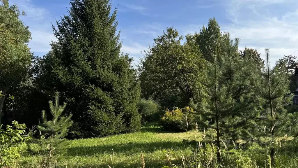 Участок в Московская область, Щелково городской округ, Загорянский пгт ... - Фото 1