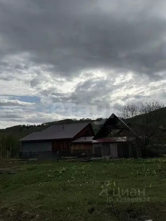 Участок в Алтай, Горно-Алтайск ул. Гордополова (10.0 сот.) - Фото 1