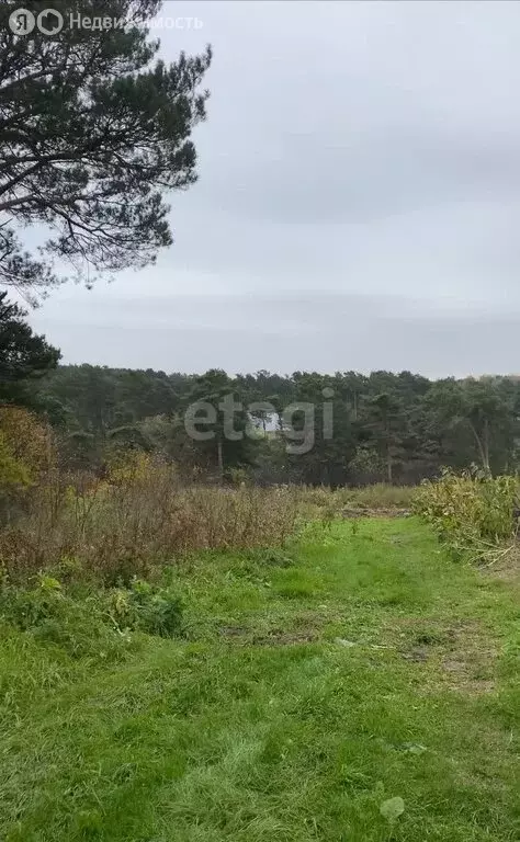 Участок в Кемеровский муниципальный округ, село Верхотомское (12 м) - Фото 0