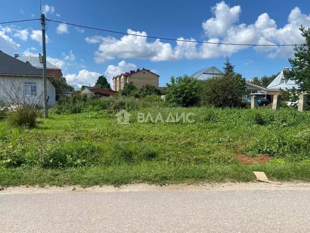 Участок в Владимирская область, Суздальский район, Новоалександровское ... - Фото 1