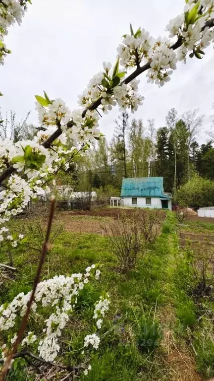 Дом в Красноярский край, Красноярск Роев Ручей СНТ, 18 (22 м) - Фото 1