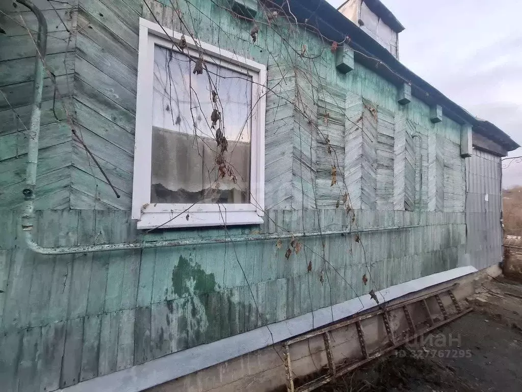 Дом в Воронежская область, с. Нижнедевицк ул. Гражданская, 92 (84 м) - Фото 1