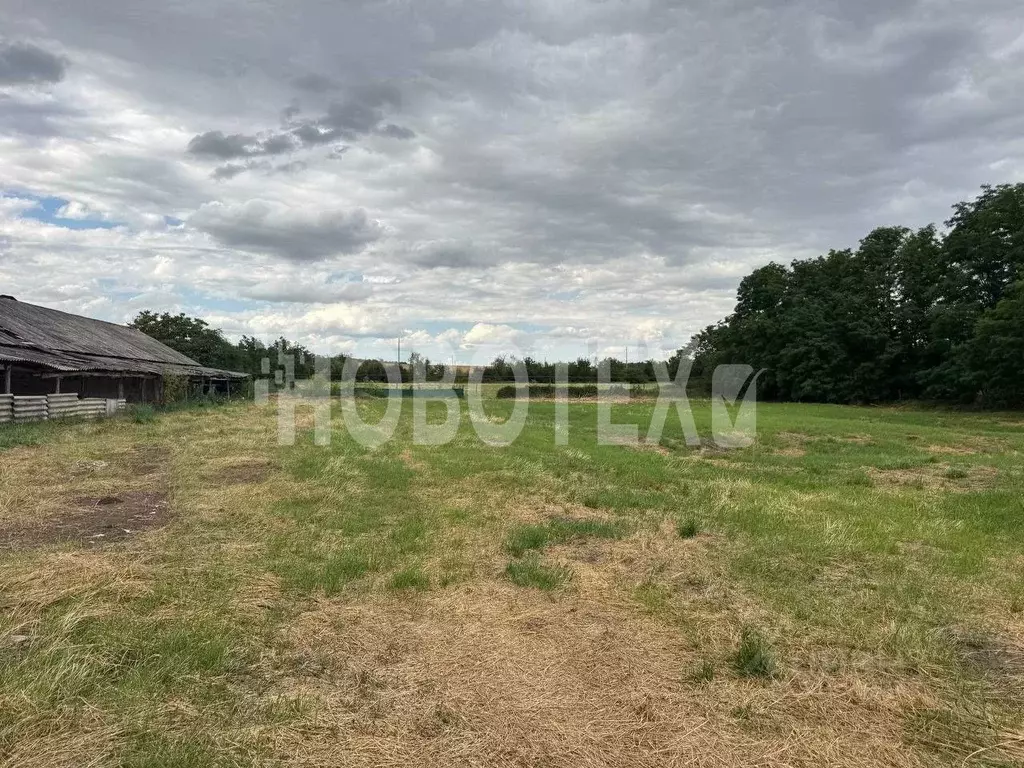 Производственное помещение в Краснодарский край, Курганинский район, ... - Фото 1