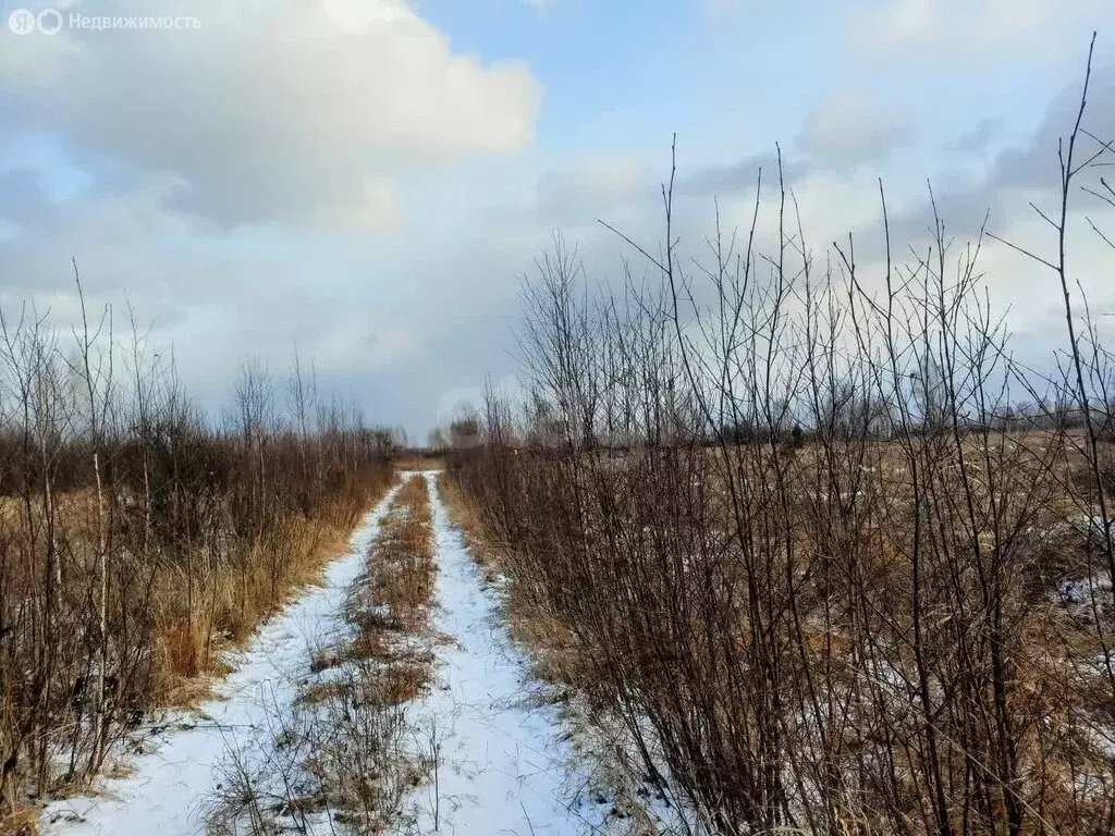 Участок в Новосибирский район, Кудряшовский сельсовет, посёлок ... - Фото 2