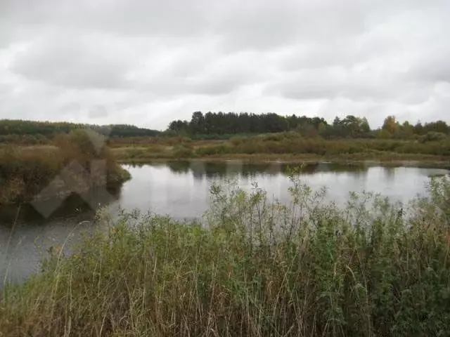 Участок в Псковская область, Пушкиногорье городское поселение  (17.3 ... - Фото 0