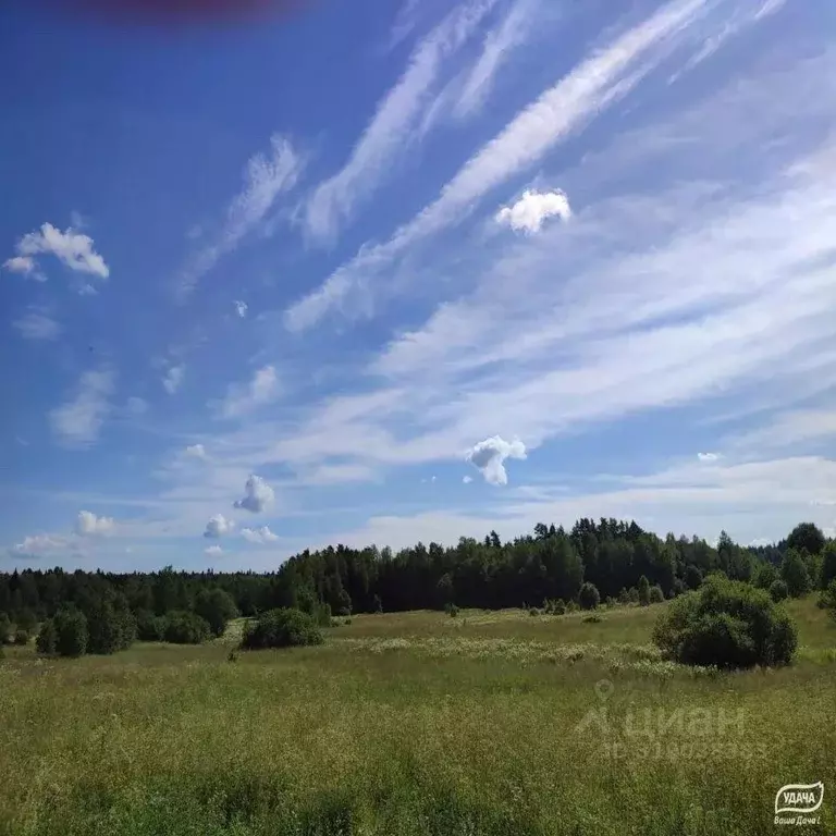 Участок, 6 сот., сельхоз (снт или днп) - Фото 0