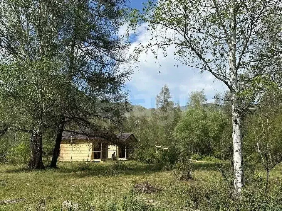 Участок в Алтай, Онгудайский район, с. Хабаровка  (28.0 сот.) - Фото 1