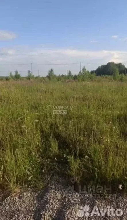 Участок в Тюменская область, Тюменский муниципальный округ, с. Кулига, ... - Фото 1