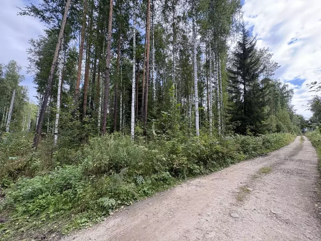 Участок в Свердловская область, Верхняя Пышма городской округ, пос. ... - Фото 2