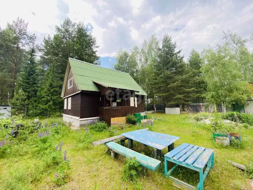 Дом в Нижегородская область, Навашинский городской округ, с. Дедово ... - Фото 1