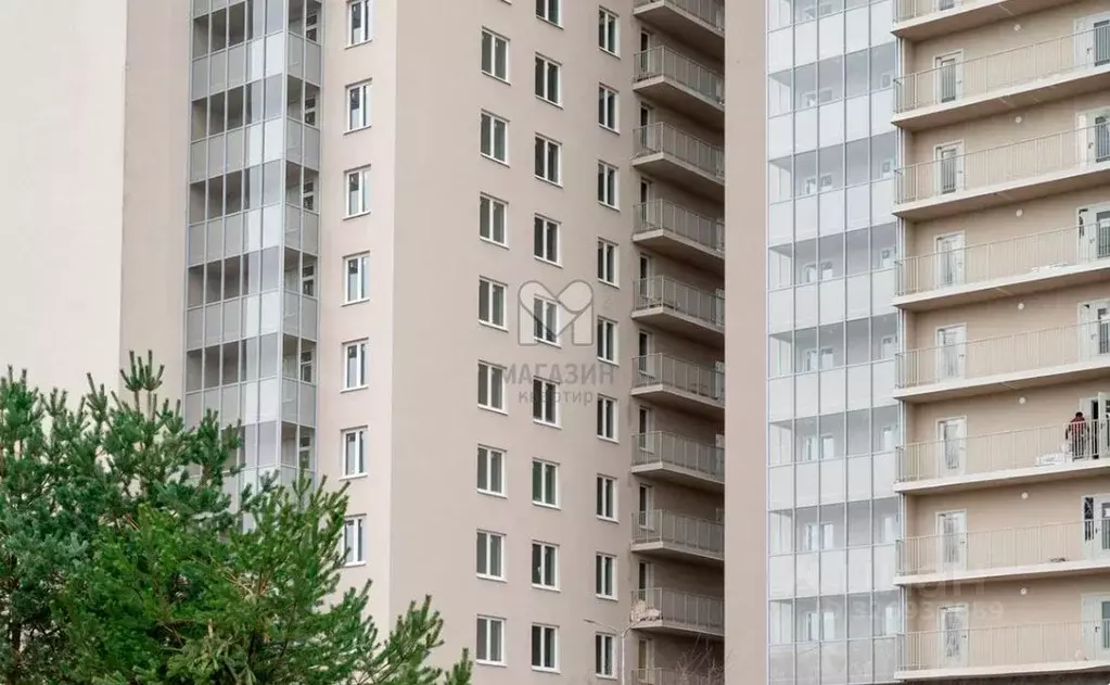 Торговая площадь в Ленинградская область, Всеволожский район, ... - Фото 1