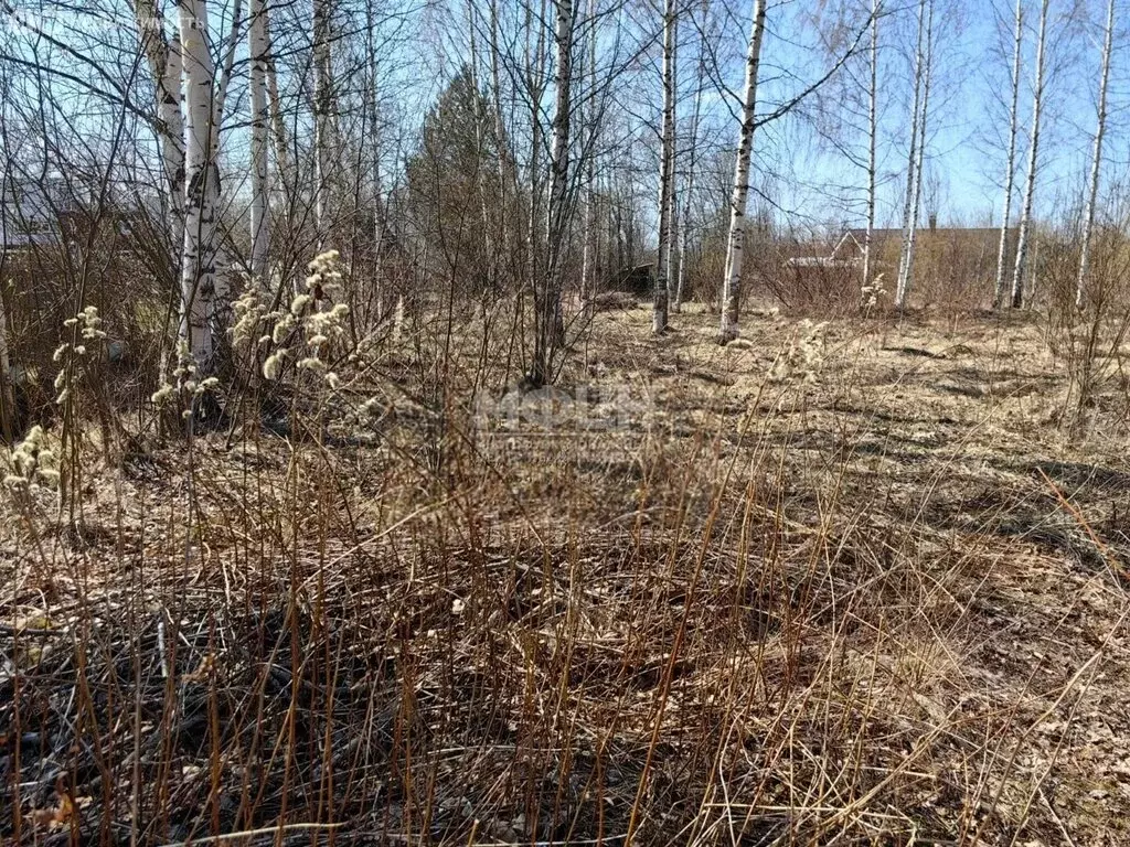 Участок в Прионежский район, Шуйское сельское поселение, деревня ... - Фото 0