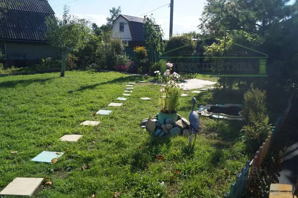 Участок в Приморский край, Надеждинский район, Спутник СНТ 31 (5.89 ... - Фото 1