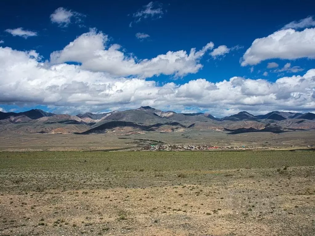 Участок в Алтай, Кош-Агачский район, с. Мухор-Тархата  (250.0 сот.) - Фото 1