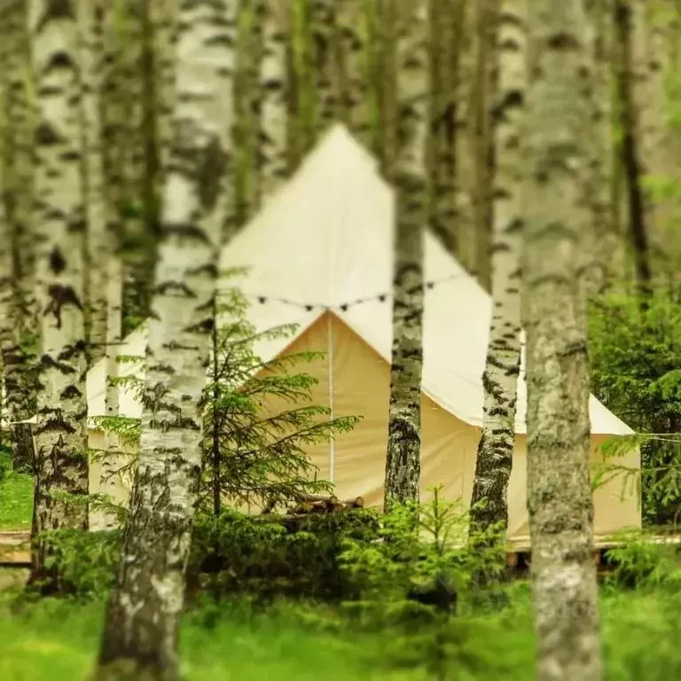 Дом в Нижегородская область, Нижний Новгород Волжская ул. (20 м) - Фото 1