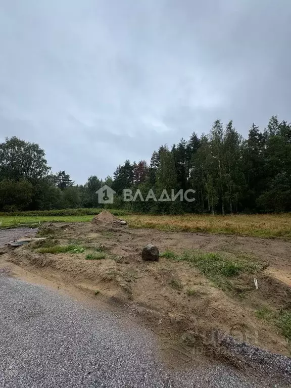 Участок в Ленинградская область, Приозерский район, Красноозерное ... - Фото 1